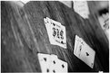 Picture Title - Learning a new game