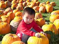 Picture Title - Pumpkin boy