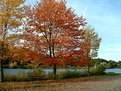 Picture Title - New England Fall