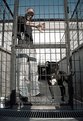 Picture Title - the cage