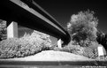 Picture Title - Skytrain in IR