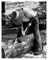 Picture Title - Hard work