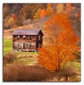 Picture Title - Abandoned Farmhouse at Sunset