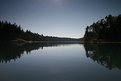 Picture Title - Maine Cove