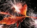 Picture Title - fall fireworks