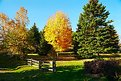 Picture Title - Fall colors