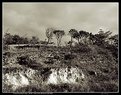 Picture Title - Eroded Clay and Rock Slope