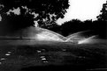 Picture Title - Water Sprinkler