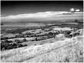 Picture Title - Crickley Hill number one