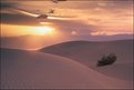 Picture Title - Sand Dunes Sunset