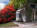 Picture Title - Stone cottage ~ autumn at Stourhead