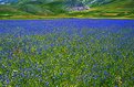 Picture Title - Sibillini Mounts National Park in summer