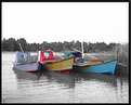 Picture Title - Oyster Skiffs