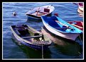 Picture Title - Barquitas