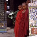 Picture Title - Myanmar's little monks