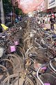 Picture Title - Bicycles in Luoyang, China