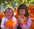 Picture Title - Pumpkin Girls