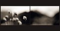 Picture Title - Tatry # diptych I.