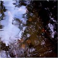 Picture Title - autumn waters