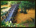 Picture Title - Bridge on the leafs