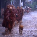 Picture Title - Monks under the rain