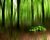 Greens