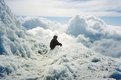 Picture Title - Sitting in the Clouds (Mt Adams)