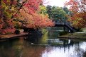 Picture Title - Fall Pond