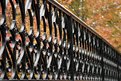 Picture Title - Iron Bridge