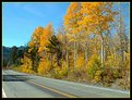 Picture Title - Highway 88 Fall Colors