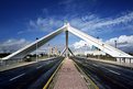 Picture Title - Barqueta Bridge