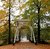 Bridge in Autumn landscape