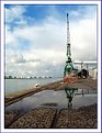 Picture Title - A wet crane 02...