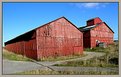 Picture Title - Red barns in the sun