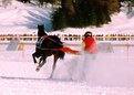 Picture Title - skijöring on the Lake of St. Moritz