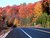 the yelow leaf road