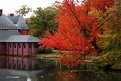 Picture Title - if a tree falls in the water