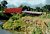 Roseman Covered Bridge, Madison County, Iowa