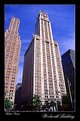 Picture Title - Woolworth Building