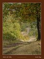 Picture Title - Path to the Valley