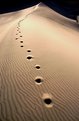 Picture Title - Steps in desert