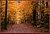 Fall tapestry