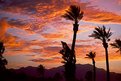 Picture Title - Sunset Palm Springs, Ca.