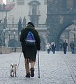 Picture Title - Fall Walk in Prague