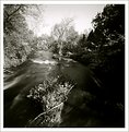 Picture Title - rockaway river - 03