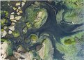 Picture Title - Swirly green pond