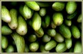 Picture Title - Green Cucumbers