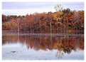 Picture Title - Autumn in Michigan