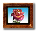 Picture Title - The Rose I