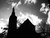 New Church Delft silhouet